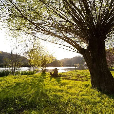 Mortagne-sur-sèvre, 1 Pièce, 2 Personnes - Fr-1-426-483 Mortagne-sur-Sevre