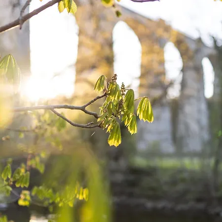 Mortagne-sur-sèvre, 1 Pièce, 2 Personnes - Fr-1-426-483 Hébergement de vacances Mortagne-sur-Sevre