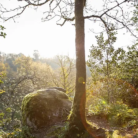 Hébergement de vacances Mortagne-sur-sèvre, 1 Pièce, 2 Personnes - Fr-1-426-483 *
