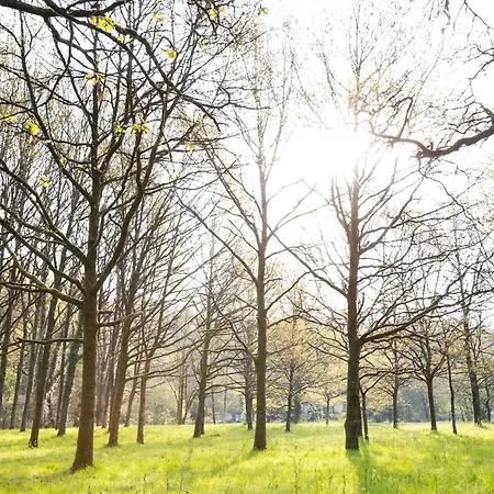 Mortagne-sur-sèvre, 1 Pièce, 2 Personnes - Fr-1-426-483 Hébergement de vacances Mortagne-sur-Sevre