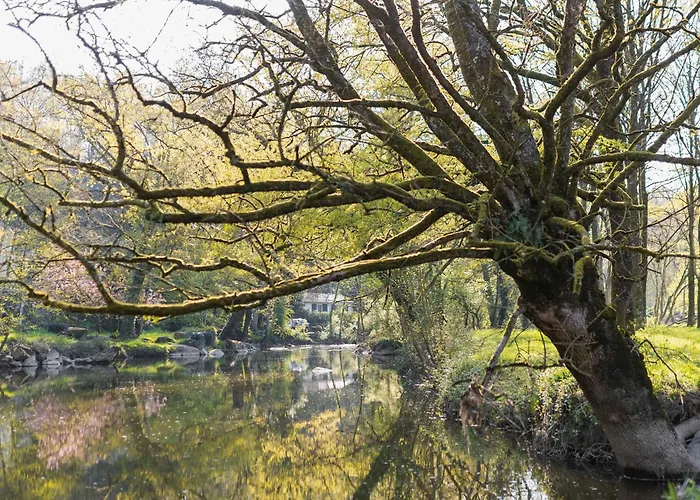 Cosy Renove Avec Terrasse Privative, Pour 2 Personnes, Proche De La Sevre - Fr-1-426-483 度假居