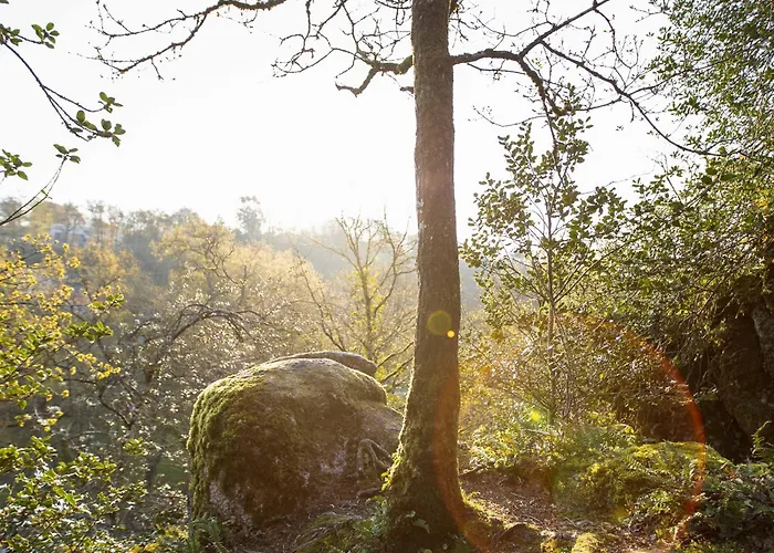 度假居 Cosy Renove Avec Terrasse Privative, Pour 2 Personnes, Proche De La Sevre - Fr-1-426-483 *