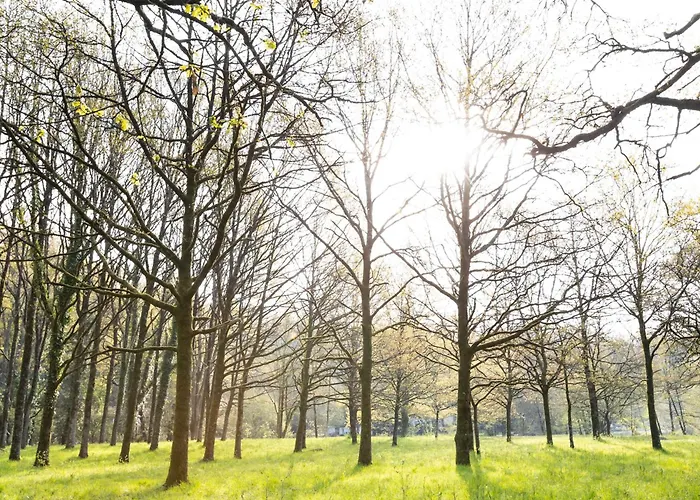 Cosy Renove Avec Terrasse Privative, Pour 2 Personnes, Proche De La Sevre - Fr-1-426-483 度假居 Mortagne-sur-Sevre